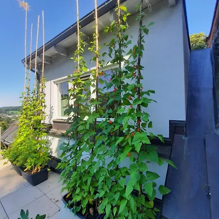 Appartement In Einer Kleinen Burg Neunkirchen